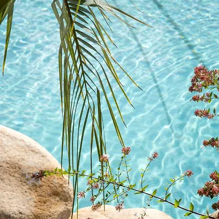 Chalet Lecci E Murta Propriano (Corsica)