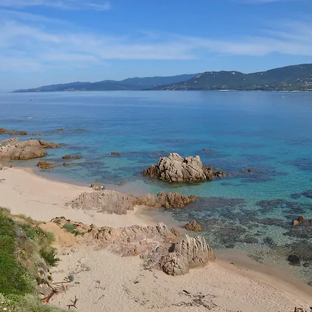 Lecci E Murta Propriano (Corsica)