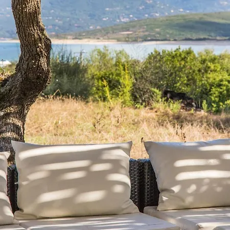 Lecci E Murta * Propriano (Corsica)