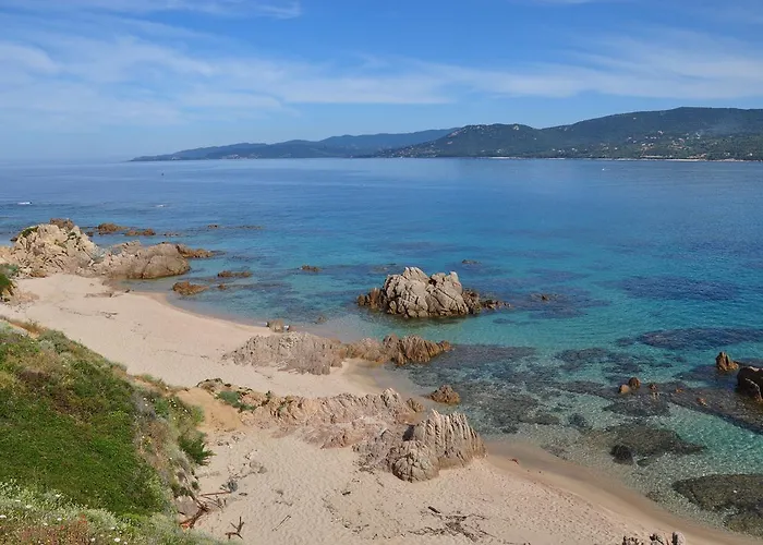 Lecci E Murta Propriano (Corsica)